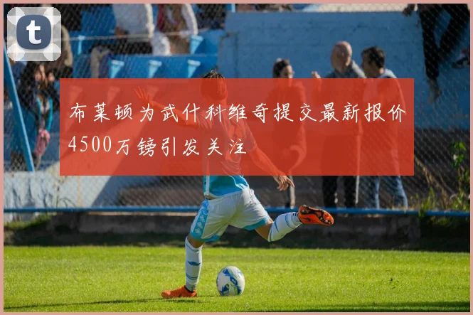 布莱顿为武什科维奇提交最新报价4500万镑引发关注