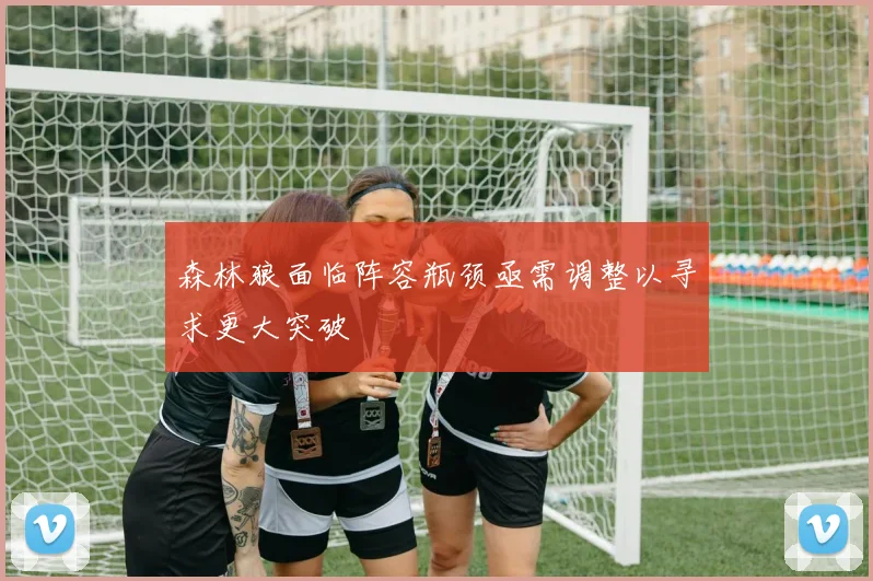 森林狼面临阵容瓶颈亟需调整以寻求更大突破